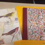 Bukvica z ravnim hrbtom